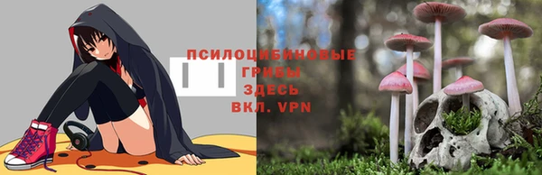 тгк Алексин