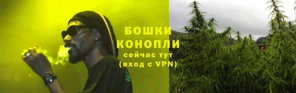 PSILOCYBIN Арсеньев