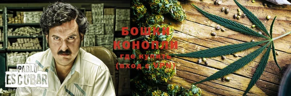 PSILOCYBIN Арсеньев