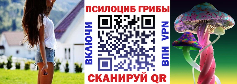 Купить  Махачкала  Псилоцибиновые грибы MAGIC MUSHROOMS 