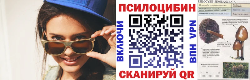 Галлюциногенные грибы Cubensis Махачкала