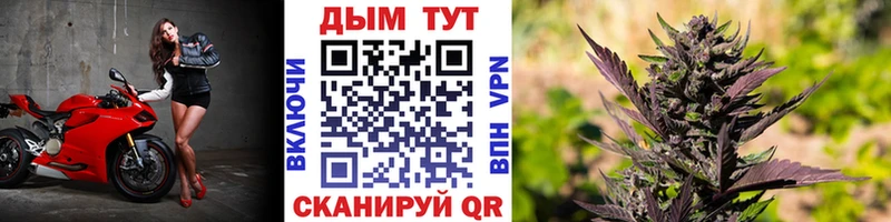 Каннабис конопля Купить закладки Махачкала